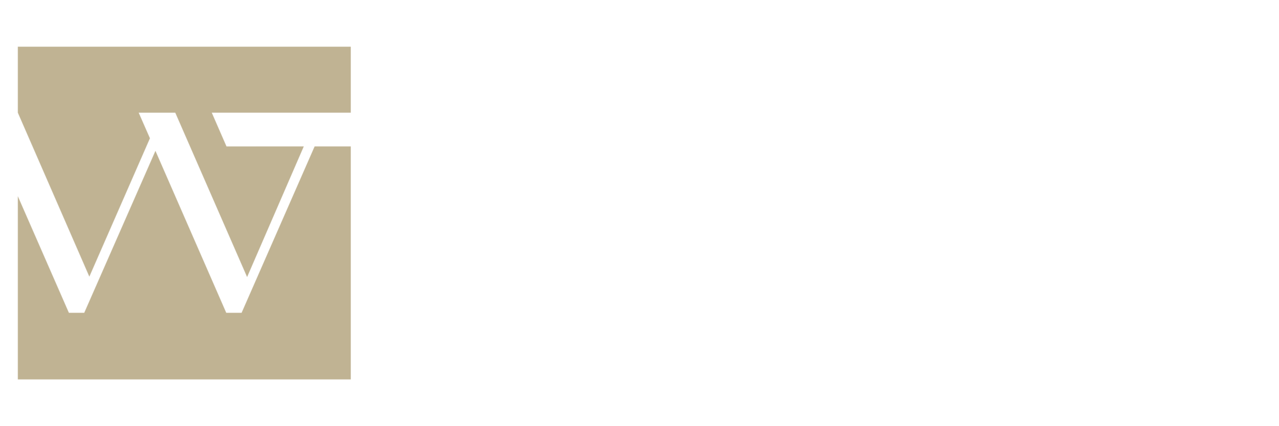 drwilliamtorres.com.br